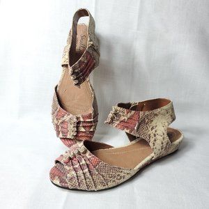 Shellys snake print  Nordstrom ankle strap sandals